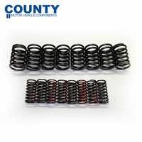 Austin Healey 100/4 Double Valve Spring Set 2660cc 1949-1956