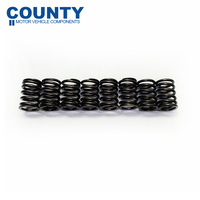 Triumph Spitfire Mark I II III IV Valve Spring Set 1962-1974