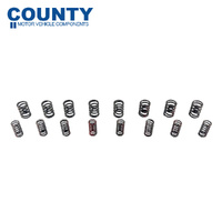Double Valve Spring Set FOR Austin Healey MG Mini Morris 1956-1971 948 998 1098