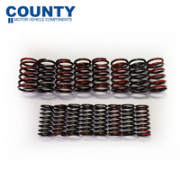 Valve Spring Set FOR MG MGA MGB B Series 1955-1980 Double