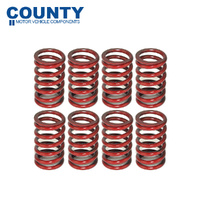 Valve Spring Set FOR MG MGB B Series 18V 1971-1980 (Single)