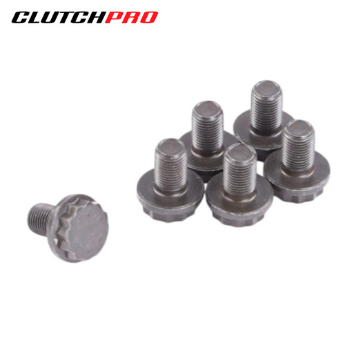 BOLT SET F/W AUDI 10x1.0x16 (6) 73Nm FWBAU05