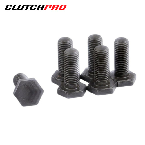 BOLT SET F/W GM 10x1.25x24.6 (6) 73Nm FWBGM26