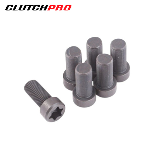 BOLT SET F/W NISSAN 11x1.0x25 (6) 97Nm. FWBNI25