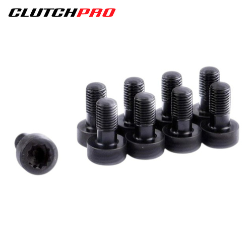 BOLT SET F/W PORSCHE 10x1.25x19.5 (9) 73Nm FWBPR01