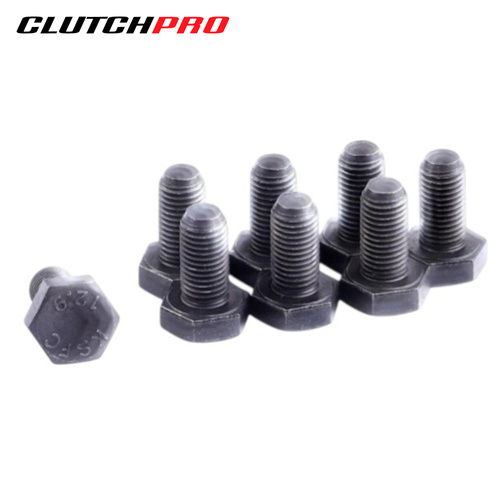 BOLT SET F/W SUZI 10x1.25x19 (8) 73Nm FWBSZ02
