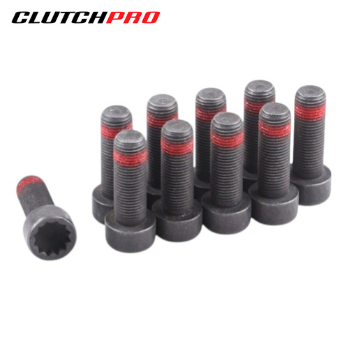 BOLT SET F/W VW 10x1.0x29 (10) 73Nm FWBVW01