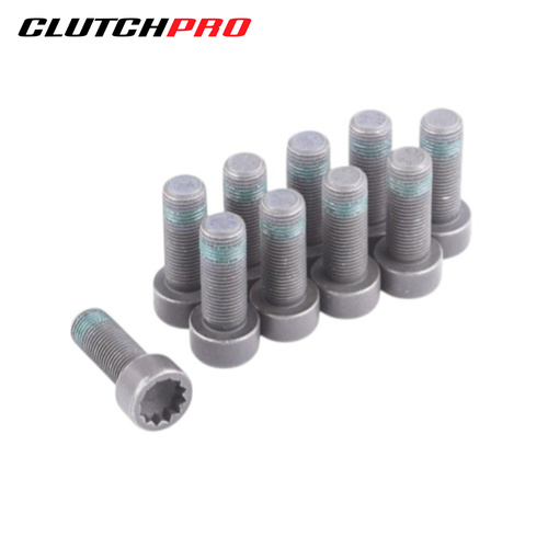 BOLT SET F/W VW 10x1.0x26.6 (10) 73Nm FWBVW03