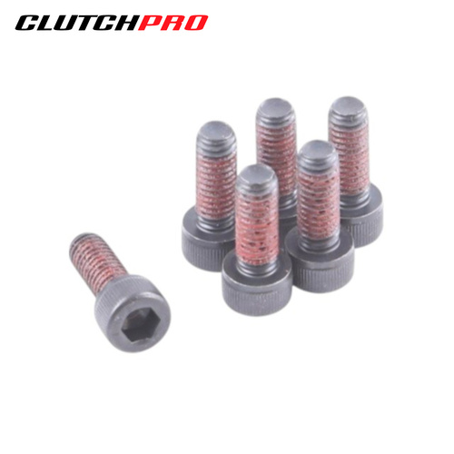 BOLT SET P/P AUDI 6x1.0x16 (6) 18Nm PPBAU03