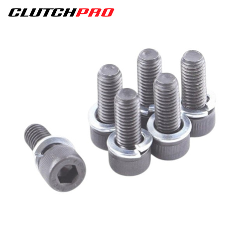 BOLT SET P/P CITR 8x1.25x20 (6) 32Nm PPBCT01