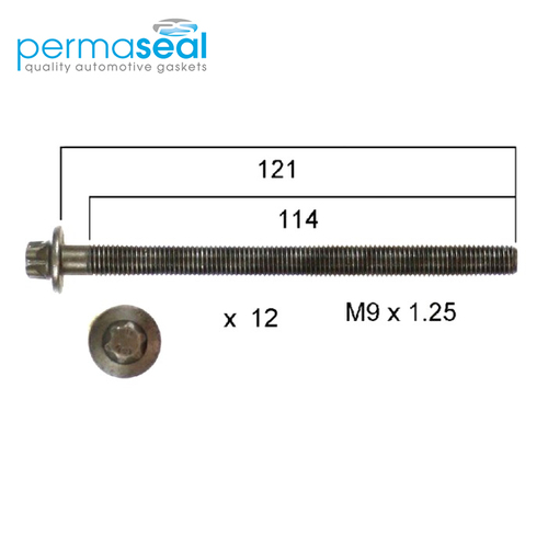 Head Bolt Set FOR HOLDEN A14NET B14NET DOHC 16V HBS279