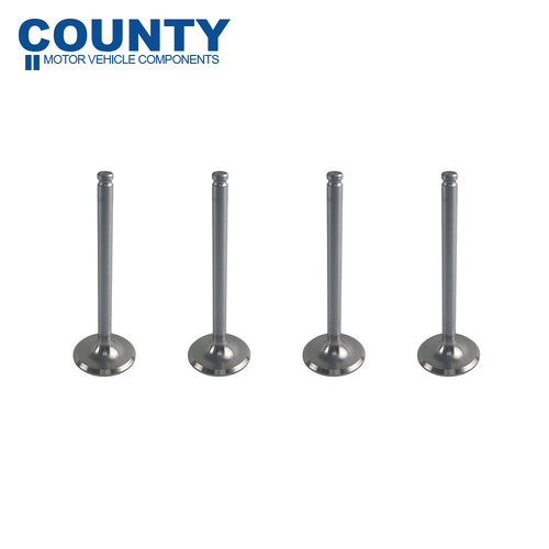 Inlet Valve Set FOR Triumph Dolomite 1850 1.9L 1972-1976