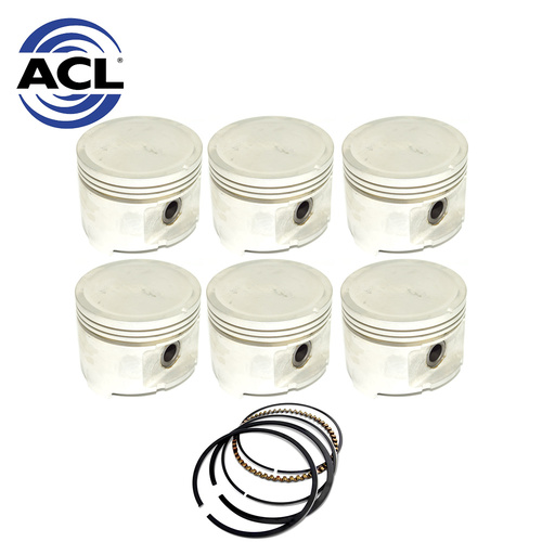 Piston & Ring Set +040" FOR Nissan Skyline R30 1981-1986 2.4L 6 Cylinder L24E