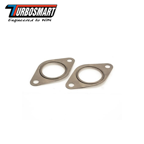 WG38 MANIFOLD GASKET-SS 2-PACK TS-0501-3002