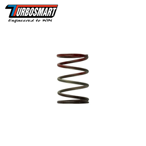 WG38/40/45 11PSI MIDDLE SPRING BROWN/RED TS-0505-2004