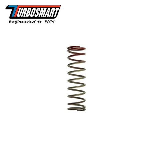 WG 30PSI OUTER SPRING BROWN/RED TS-0505-2014