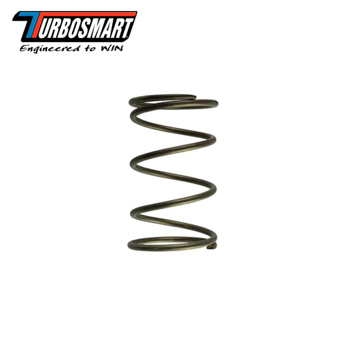 WG60 14PSI BROWN OUTER SPRING TS-0550-3092