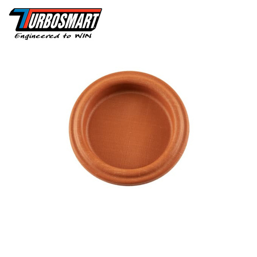 IWG75 TP DIAPHRAGM REPLACEMENT TS-0600-2001