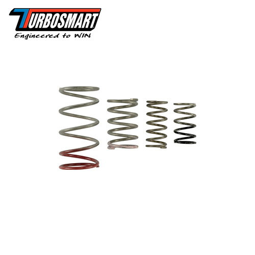GENV IWG SPRING REPLACEMENT KIT TS-0600-2011