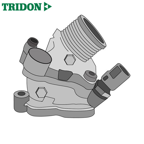 Tridon Thermostat TT1606-194