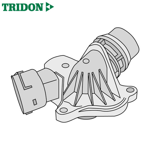 Tridon Thermostat TT1636-190