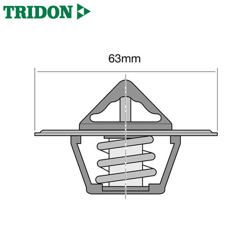 Tridon Thermostat TT2-170