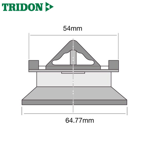 Tridon Thermostat TT218-160P