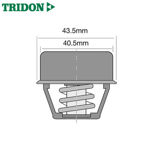 Tridon Thermostat TT237-170P