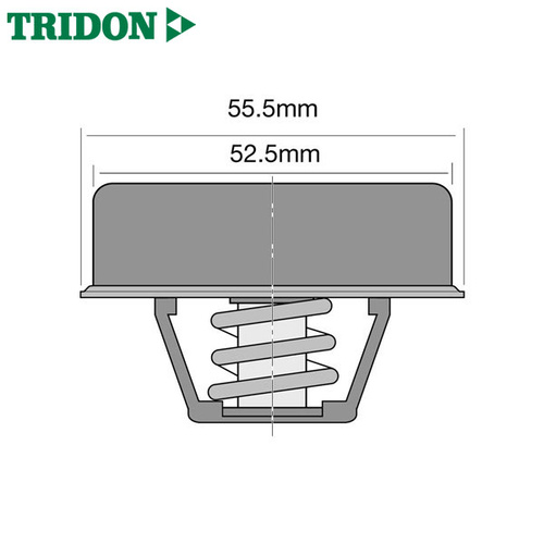 Tridon Thermostat TT238-160