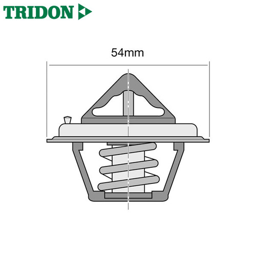 Tridon Thermostat TT244-180P