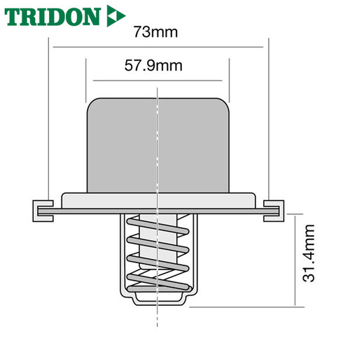 Tridon Thermostat TT459-174P