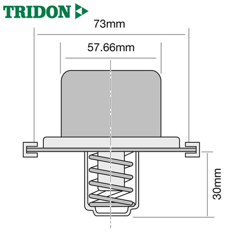 Tridon Thermostat TT8800-170P