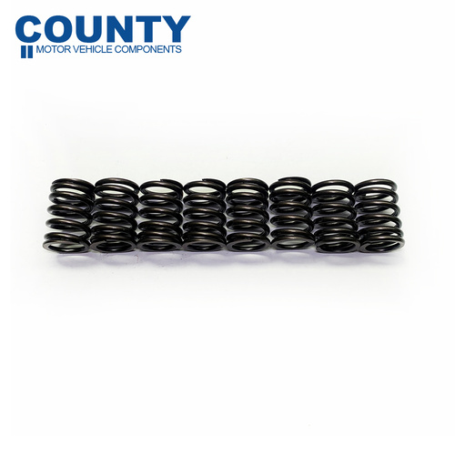 Triumph Spitfire Mark I II III IV Valve Spring Set 1962-1974