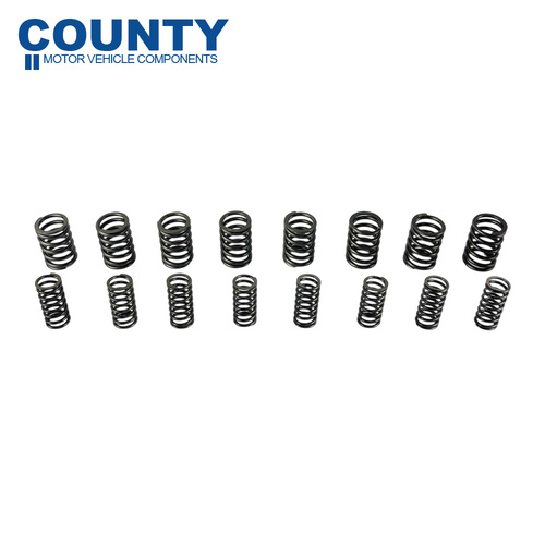 Valve Spring Set FOR Austin Healey Sprite MG Midget 1275 Daimler 250 V8 Double